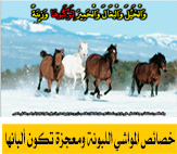 خصائص المواشى